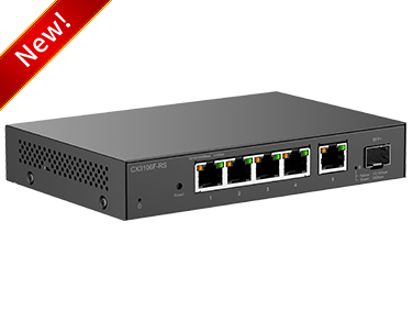 2.5G 5-port switch